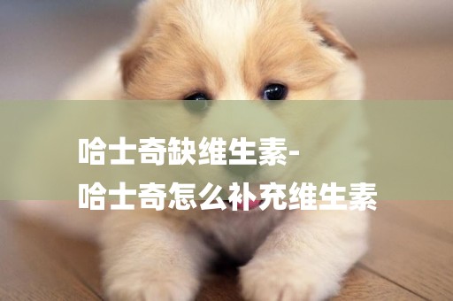 哈士奇缺維生素-
哈士奇怎么補充維生素