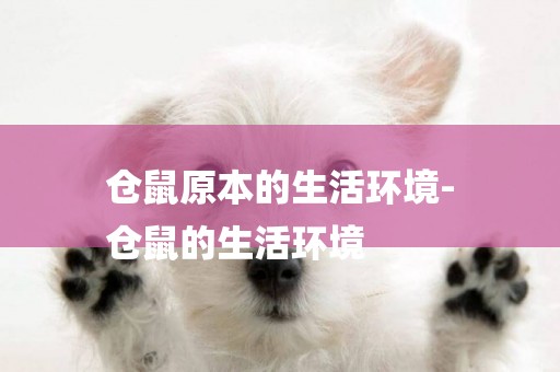 倉鼠原本的生活環境-
倉鼠的生活環境
