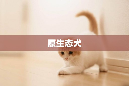 原生態犬