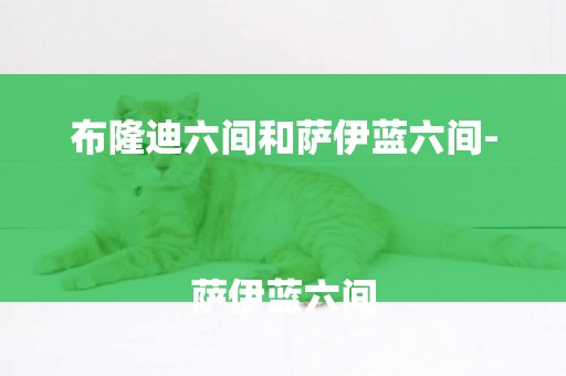 布隆迪六間和薩伊藍六間-
薩伊藍六間