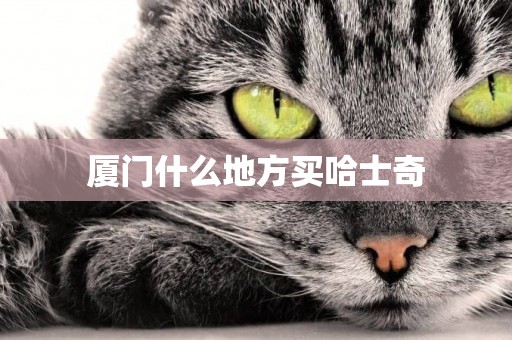 廈門什么地方買哈士奇