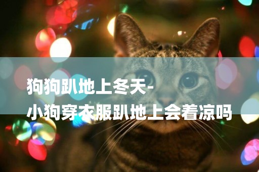狗狗趴地上冬天-
小狗穿衣服趴地上會著涼嗎