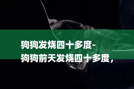 狗狗發燒四十多度-
狗狗前天發燒四十多度，
