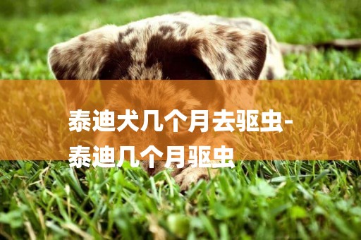 泰迪犬幾個月去驅蟲-
泰迪幾個月驅蟲