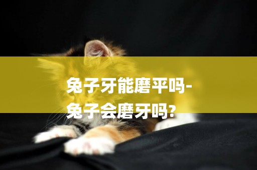 兔子牙能磨平嗎-
兔子會磨牙嗎?