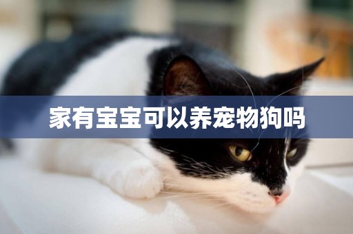 家有寶寶可以養寵物狗嗎