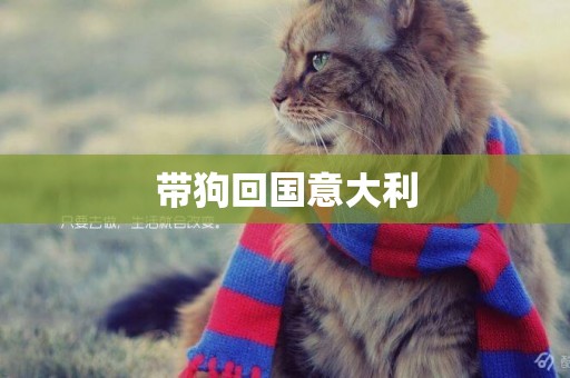 帶狗回國意大利