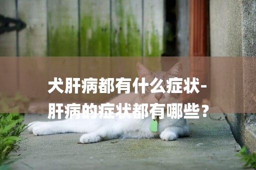 犬肝病都有什么癥狀-
肝病的癥狀都有哪些？