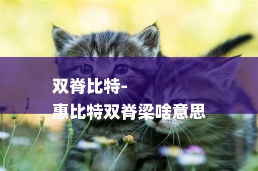 雙脊比特-
惠比特雙脊梁啥意思