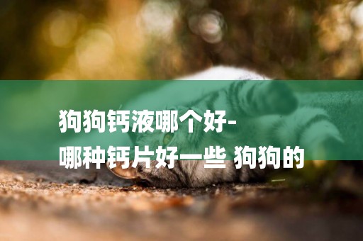 狗狗鈣液哪個好-
哪種鈣片好一些 狗狗的