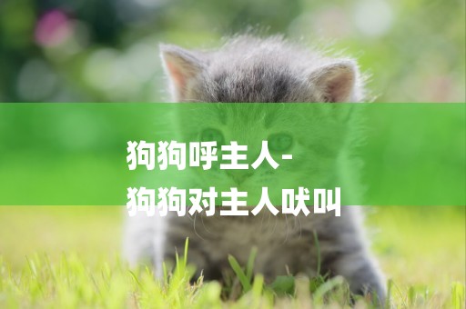 狗狗呼主人-
狗狗對主人吠叫