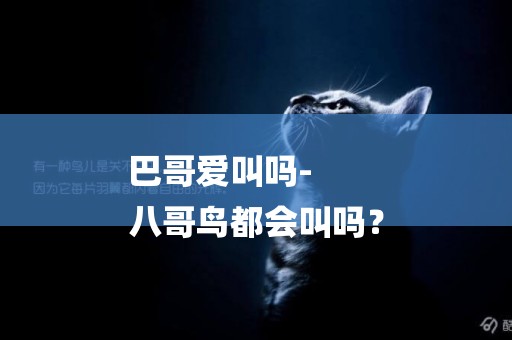 巴哥愛叫嗎-
八哥鳥都會叫嗎？