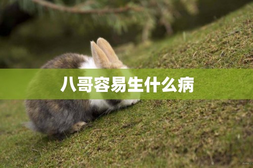 八哥容易生什么病