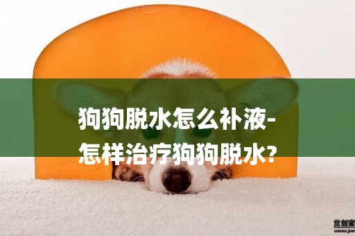 狗狗脫水怎么補液-
怎樣治療狗狗脫水?
