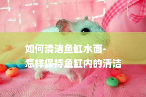 如何清潔魚缸水面-
怎樣保持魚缸內的清潔