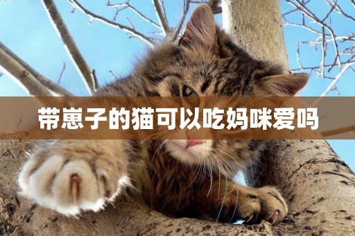 帶崽子的貓可以吃媽咪愛嗎