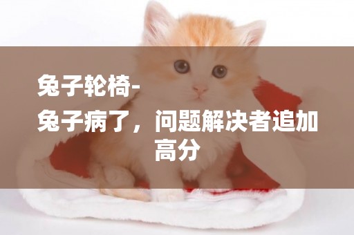 兔子輪椅-
兔子病了，問題解決者追加高分
