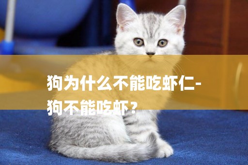 狗為什么不能吃蝦仁-
狗不能吃蝦？