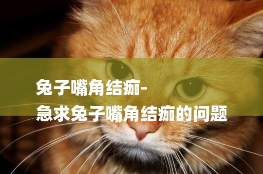 兔子嘴角結痂-
急求兔子嘴角結痂的問題
