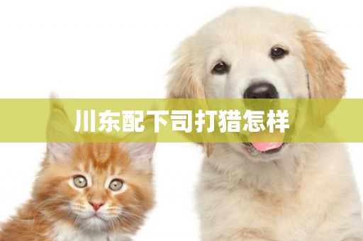 川東配下司打獵怎樣