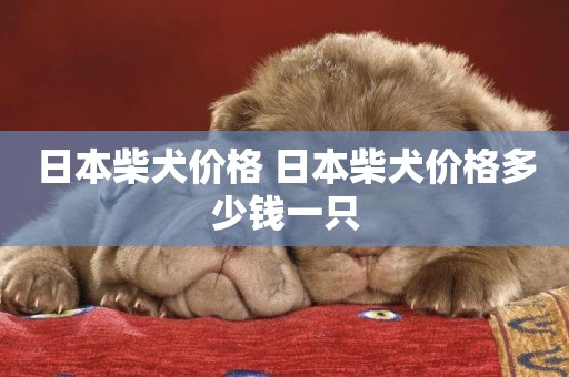 日本柴犬價格 日本柴犬價格多少錢一只