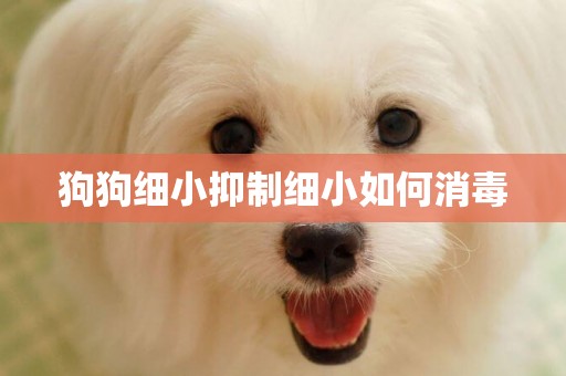 狗狗細小抑制細小如何消毒