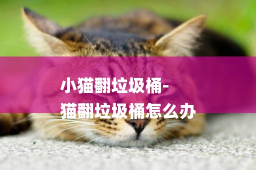 小貓翻垃圾桶-
貓翻垃圾桶怎么辦