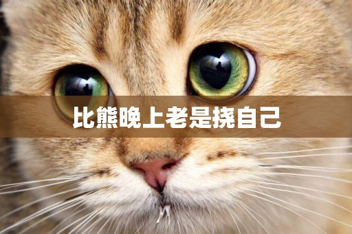 比熊晚上老是撓自己