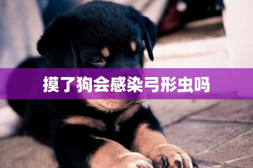 摸了狗會感染弓形蟲嗎