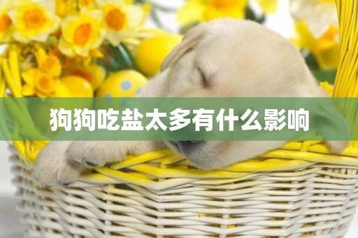 狗狗吃鹽太多有什么影響