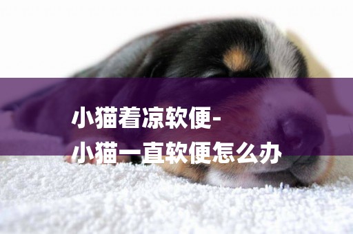 小貓著涼軟便-
小貓一直軟便怎么辦