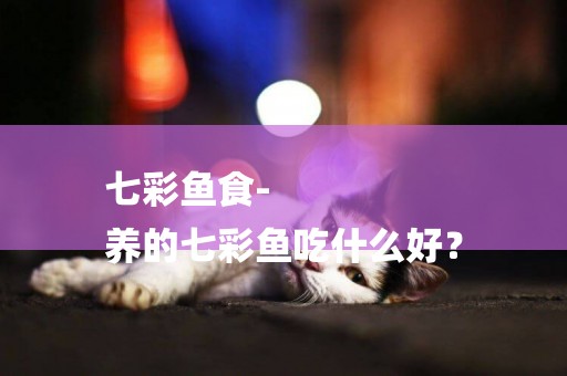 七彩魚食-
養的七彩魚吃什么好？