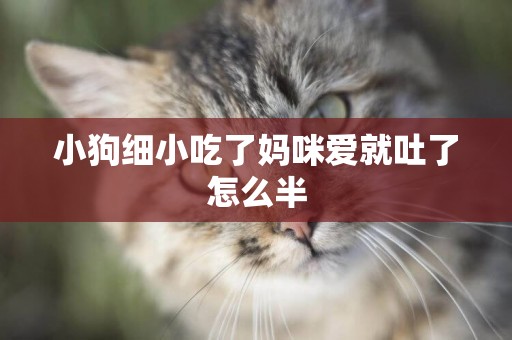 小狗細小吃了媽咪愛就吐了怎么半