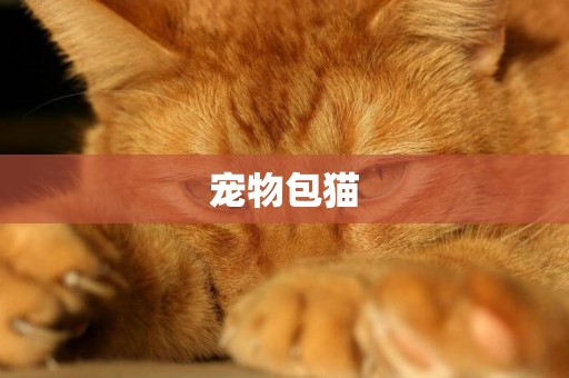 寵物包貓