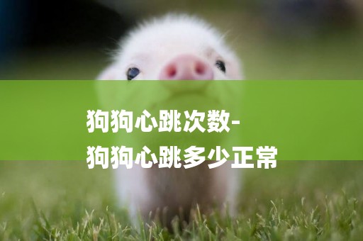 狗狗心跳次數-
狗狗心跳多少正常