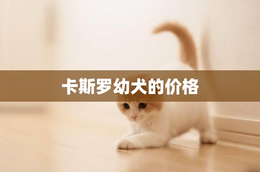 卡斯羅幼犬的價格