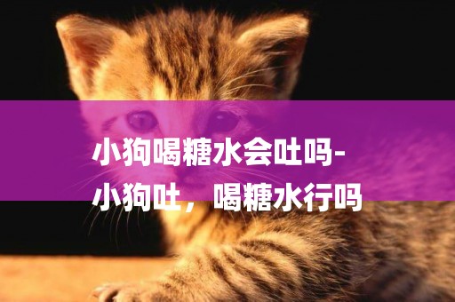 小狗喝糖水會吐嗎-
小狗吐，喝糖水行嗎