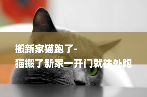 搬新家貓跑了-
貓搬了新家一開門就往外跑