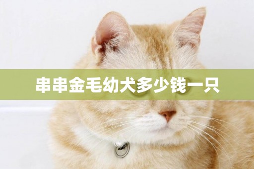串串金毛幼犬多少錢一只
