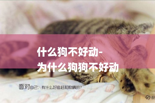 什么狗不好動-
為什么狗狗不好動