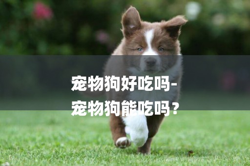 寵物狗好吃嗎-
寵物狗能吃嗎？