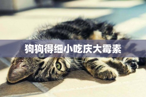 狗狗得細小吃慶大霉素
