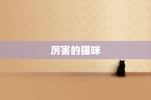 厲害的貓咪