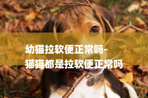 幼貓拉軟便正常嗎-
貓貓都是拉軟便正常嗎