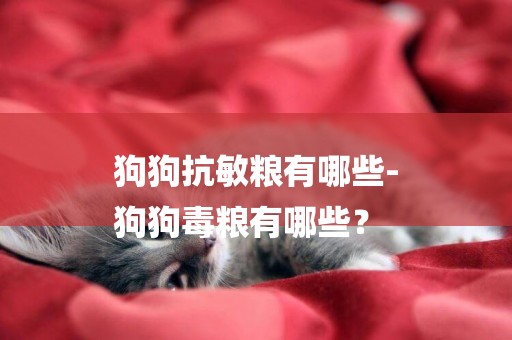狗狗抗敏糧有哪些-
狗狗毒糧有哪些？