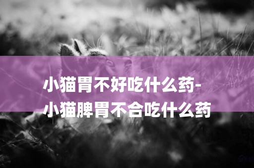 小貓胃不好吃什么藥-
小貓脾胃不合吃什么藥