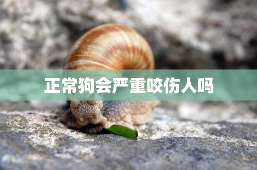 正常狗會嚴重咬傷人嗎