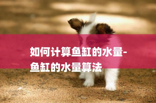 如何計算魚缸的水量-
魚缸的水量算法