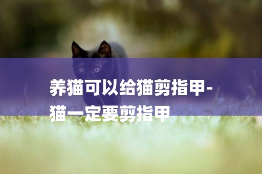 養貓可以給貓剪指甲-
貓一定要剪指甲