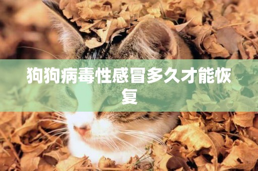 狗狗病毒性感冒多久才能恢復